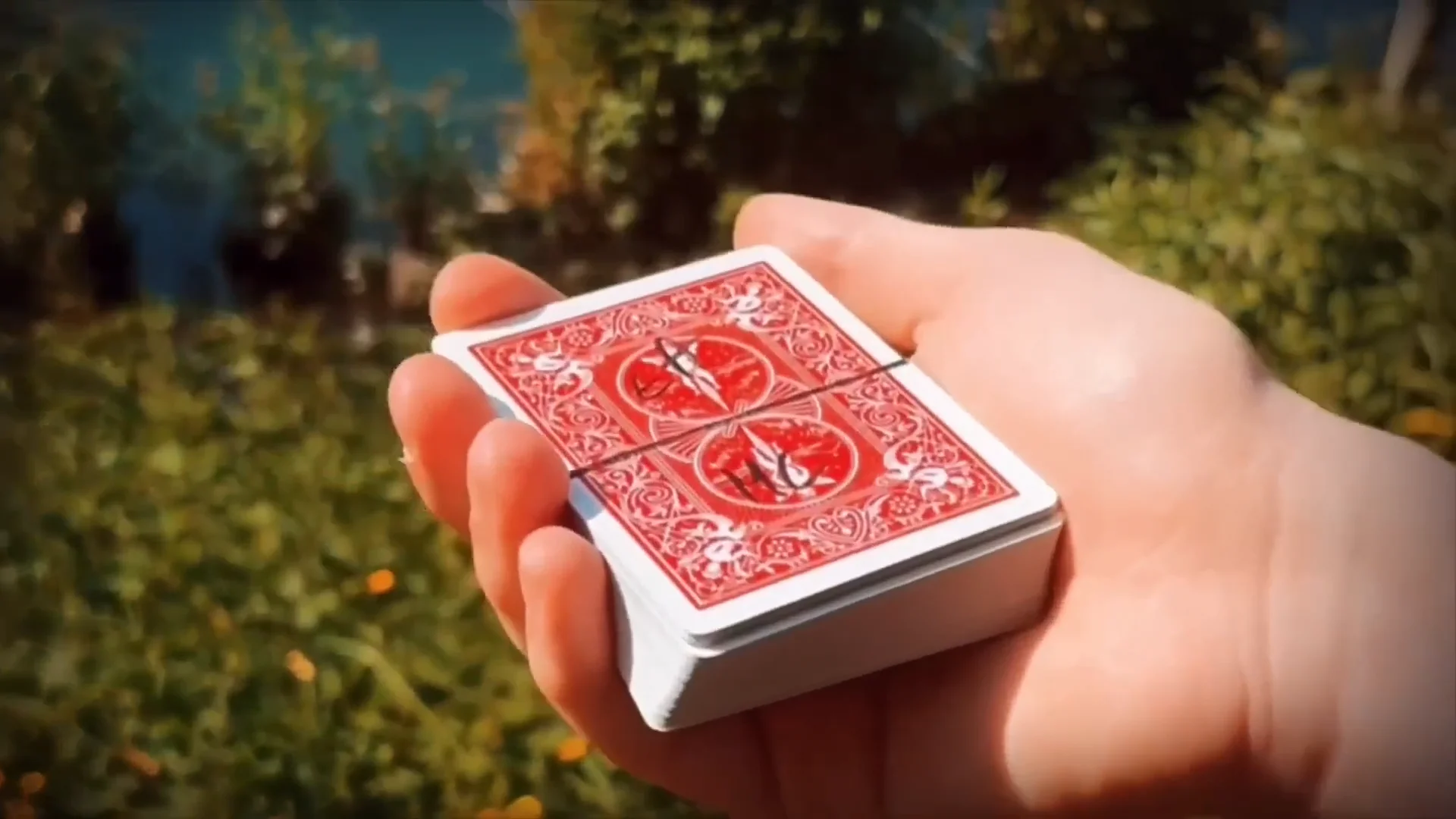 クロノ・カード（魔法の様にサインカードが出現）｜カードマジック