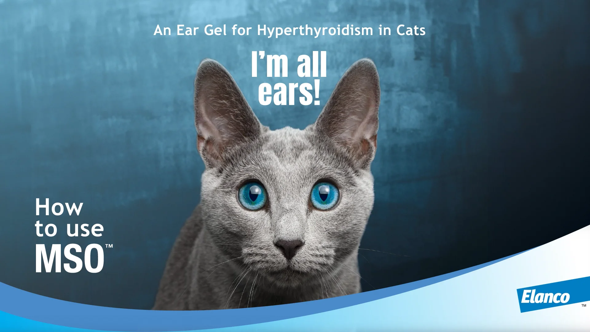 Methimazole Spot-On (MSO) 3x1ml For Cats Buy Online from Vet