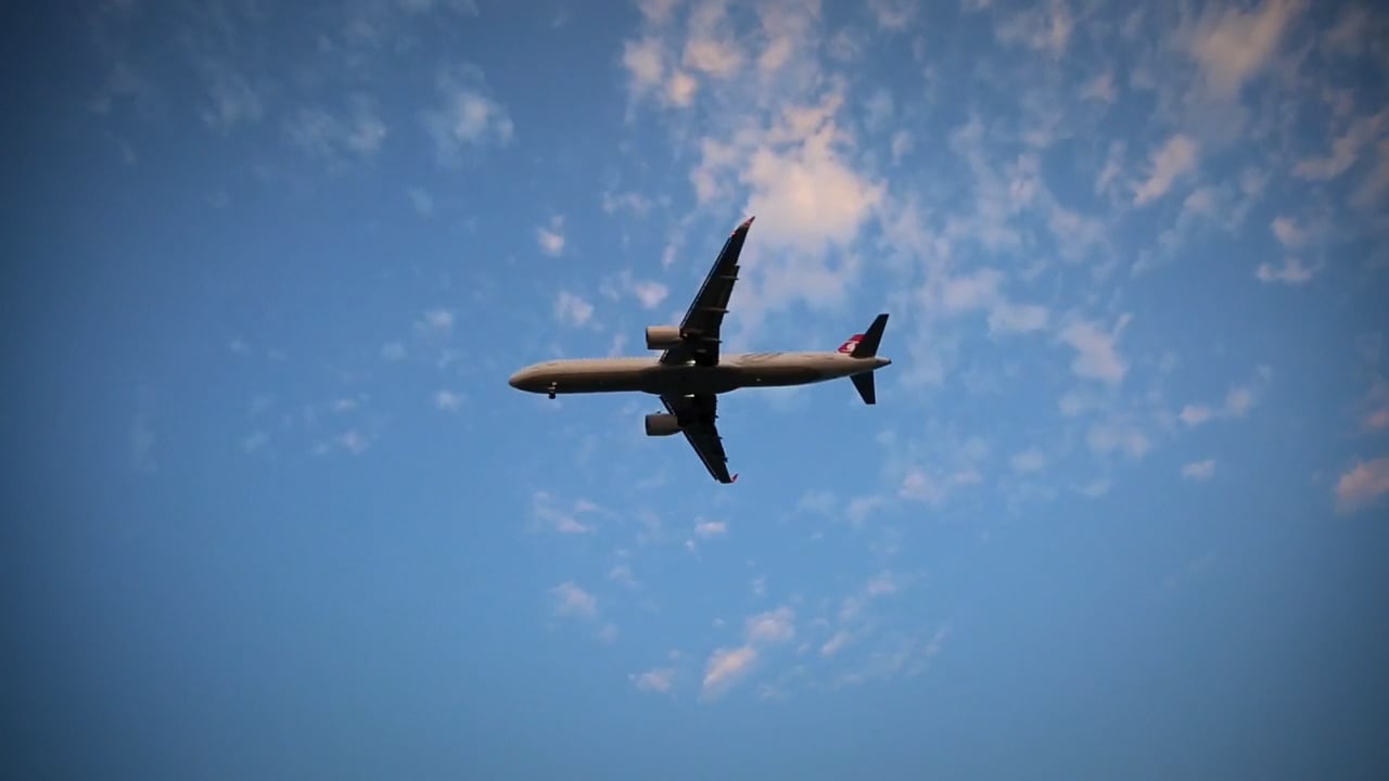 https://i.vimeocdn.com/video/2029306301-d3a245ef6819cb55d0f3a87a7cc5e696789e09f2365173ae162b5f150bdb122b-d