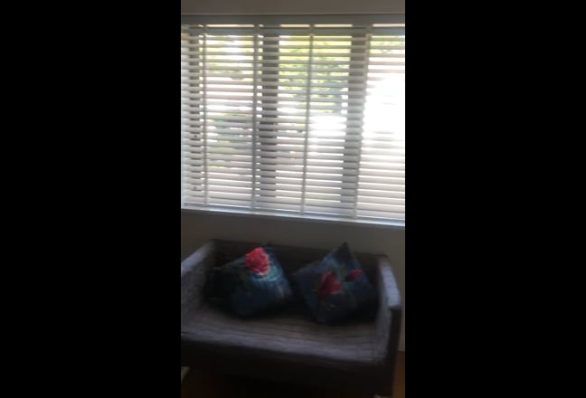 Video 1: