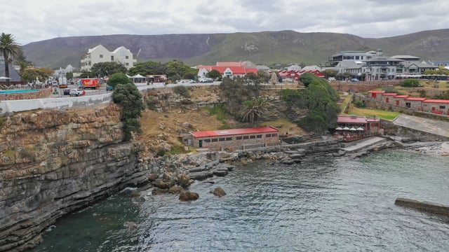 Shark Conservancy South Africa