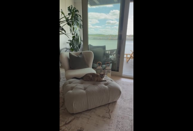 Video 1: