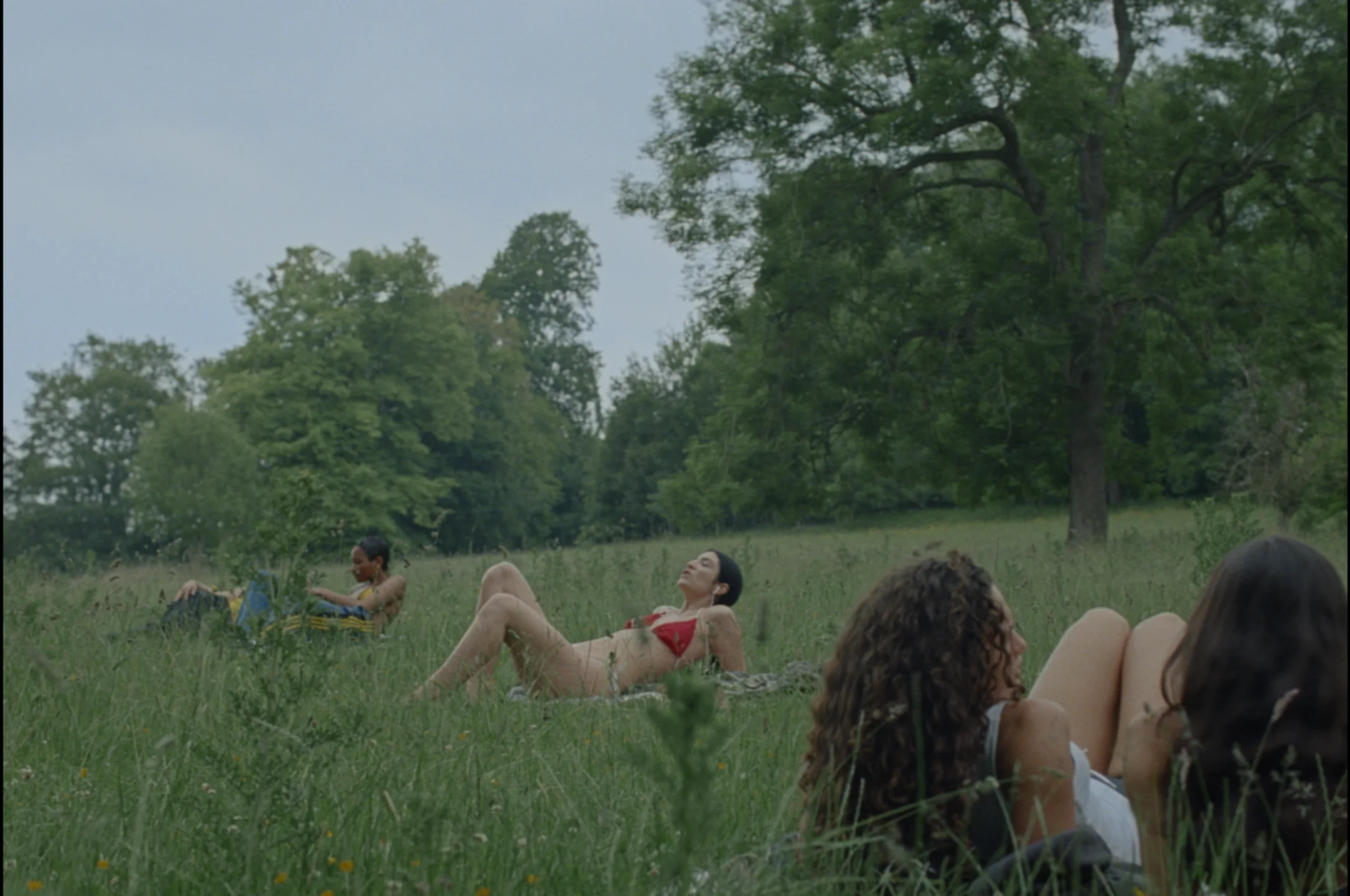 Motion — People-File, Mini Title 2026