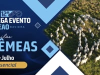 VT Comercial