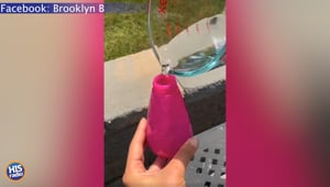 You Can Make Your Own Bug Spray