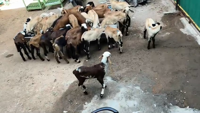 https://i.vimeocdn.com/video/2029917036-b9244342d58f78fcc54225c7559684c7ba1360d7fef27a513a0371dc8c4eb5fd-d