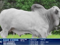 Lote 214