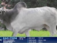 Lote 228
