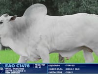Lote 269
