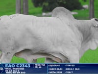 Lote 289