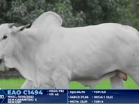 Lote 290