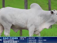 Lote 314