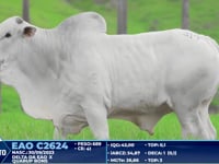 Lote 319