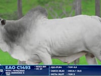 Lote 324