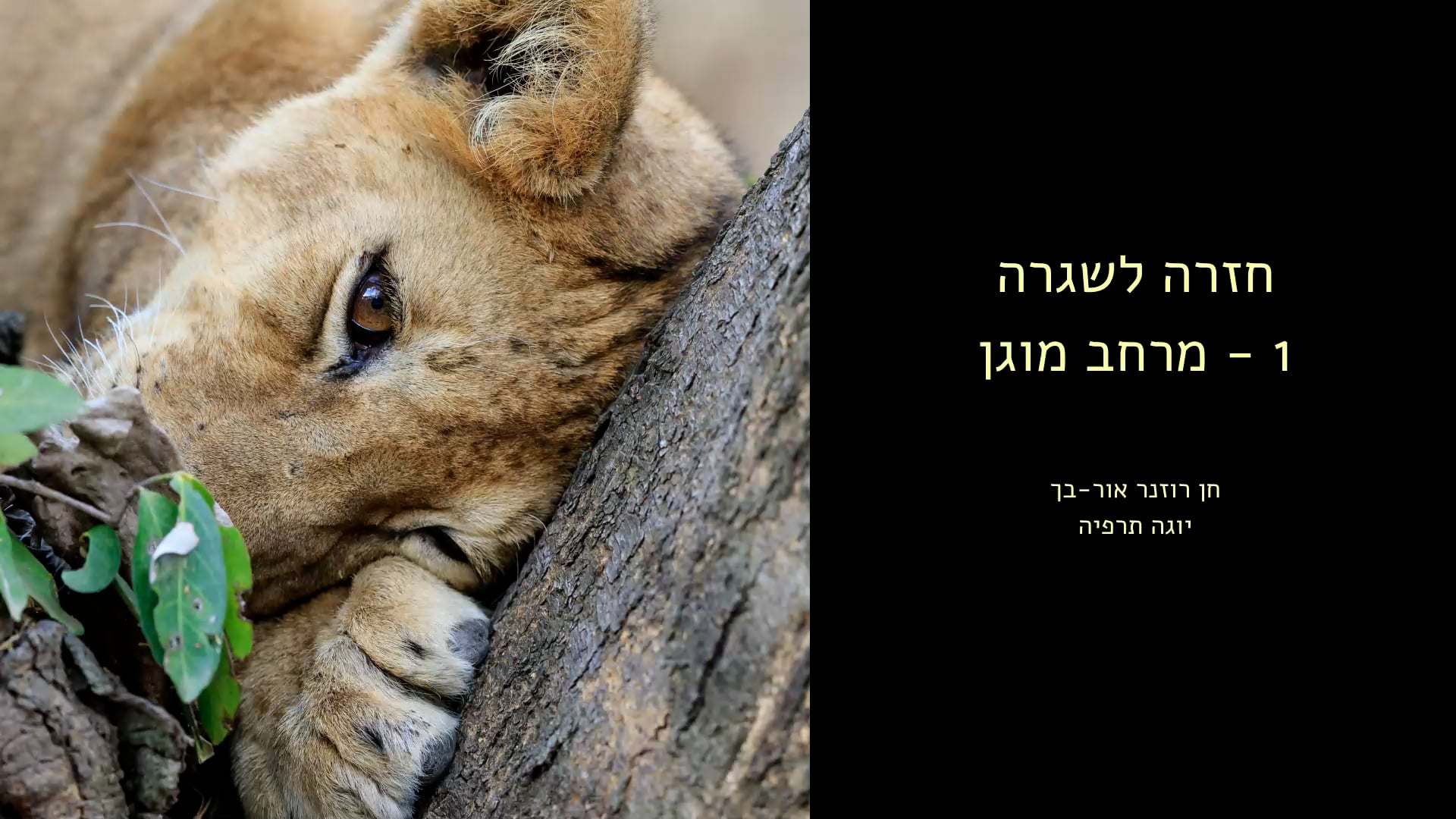 1. מרחב מוגן