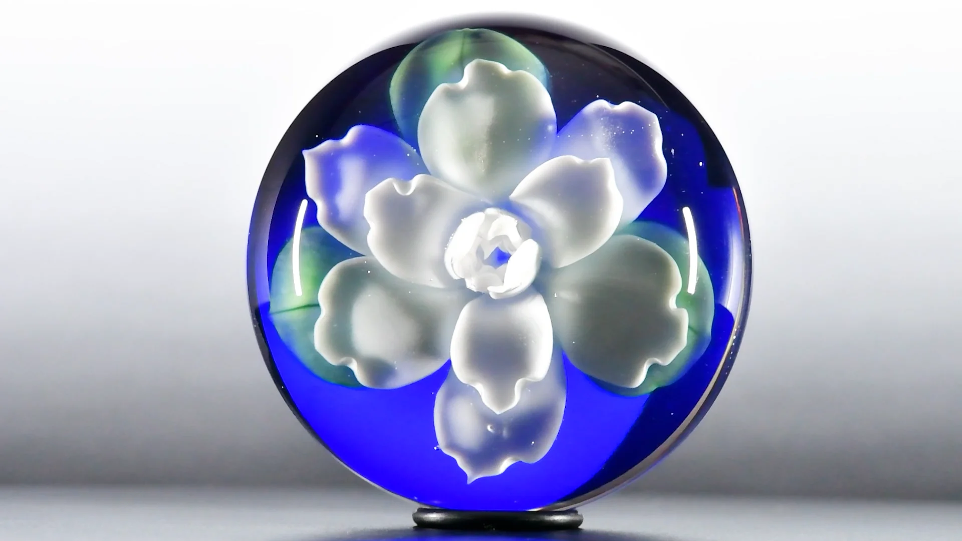 Lundberg Studios 1990 white gardenia paperweight, by Daniel