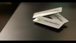 Mini Woolies // The Journey to 100 Sites