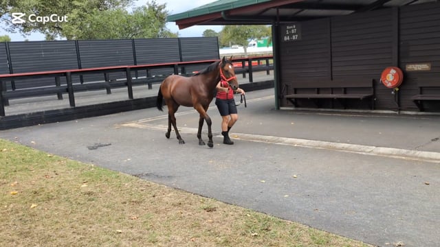 Lot 1080