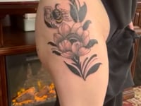 Video 1
