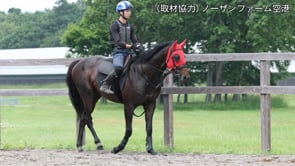 動画サムネイル