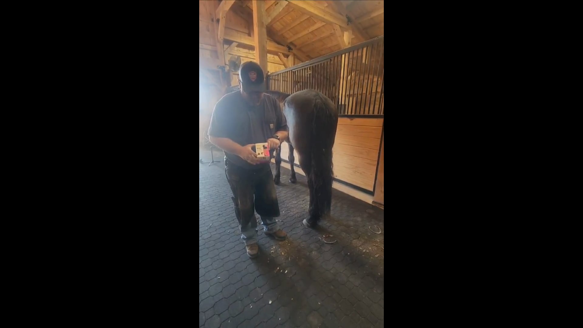 Farrier Quick Tip – Keeping those feathers out of the way! (2)