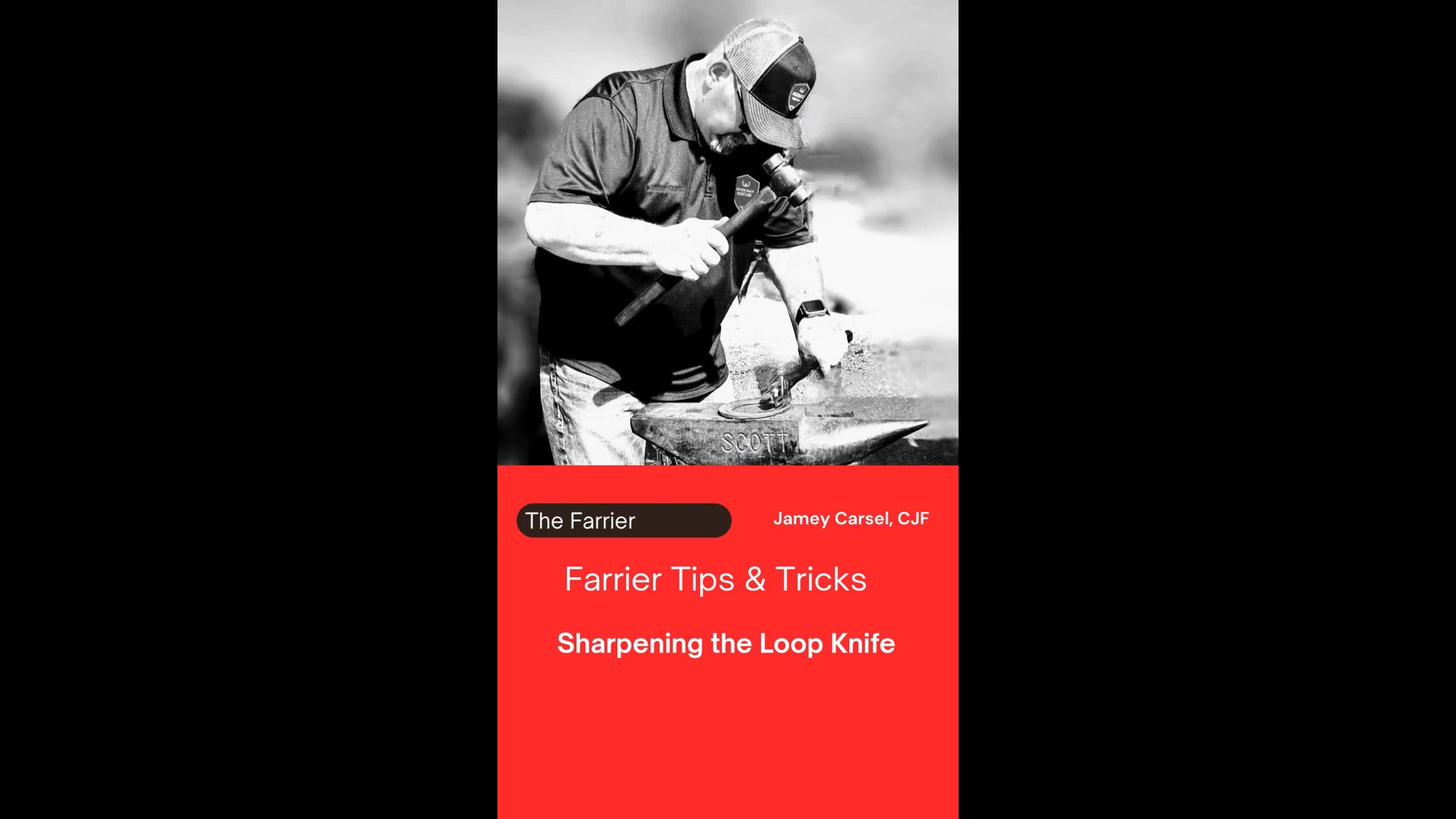 Sharpening the Loop Knife