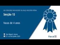 Vacas de 4 años