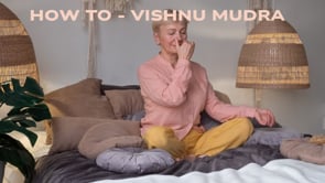 set up vishnu mudra