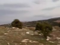 قصف بالهاون نفذته خلايا النظام التابعة للواء درع الساحل في جبال اللاذقية