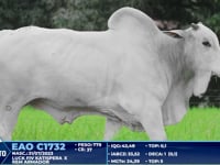 Lote 279
