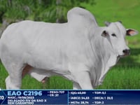 Lote 302