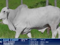 Lote 368