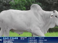 Lote 374