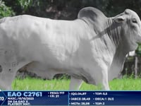Lote 391