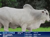 Lote 405