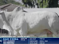 Lote 3000