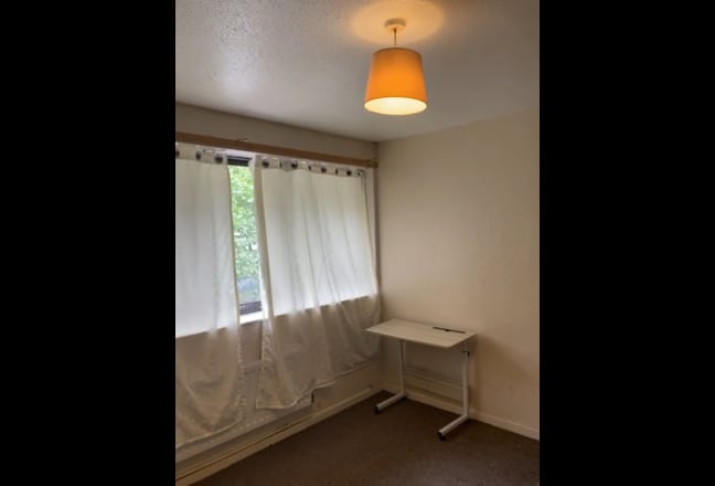 Room for rent - Cozy Single room, shared amenities Main Photo