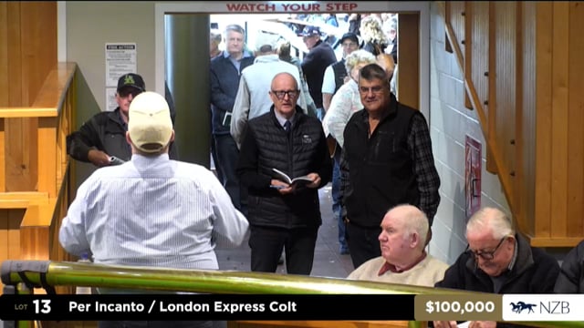 2025 National Weanling Sale - Lots 11 - 21