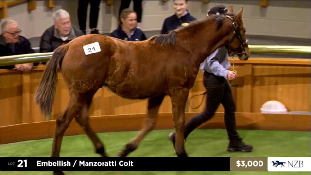 2025 National Weanling Sale - Lots 21  - 31