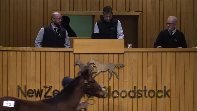 2025 National Weanling Sale - Lot 13, $190,000