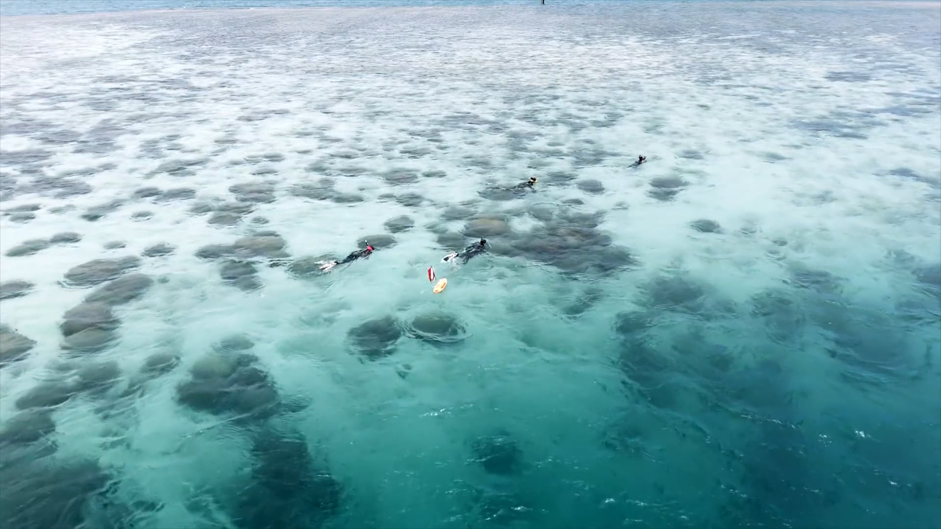 Responding to the Threat of Aquatic Invasive Species in Kāneʻohe Bay, part 3 of 3