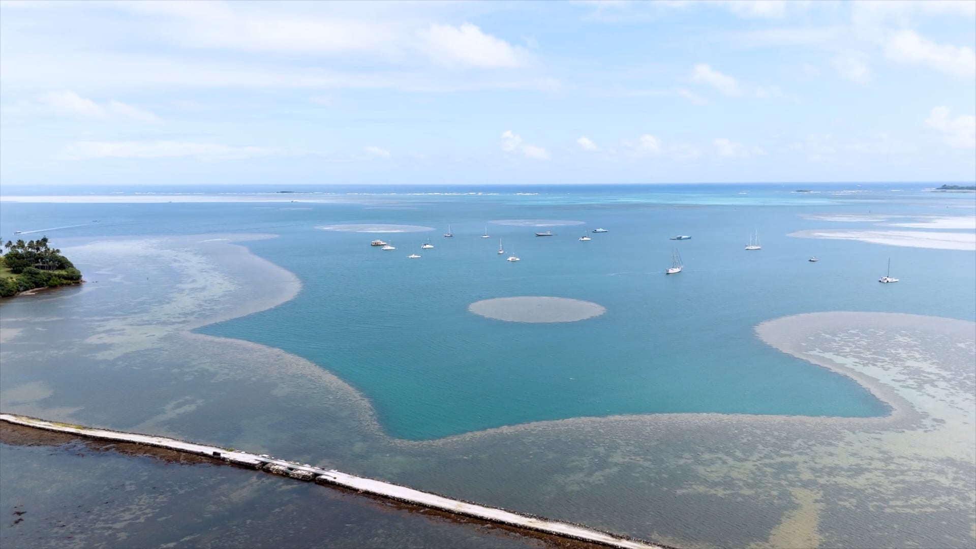 Responding to the Threat of Aquatic Invasive Species in Kāneʻohe Bay, part 1 of 3
