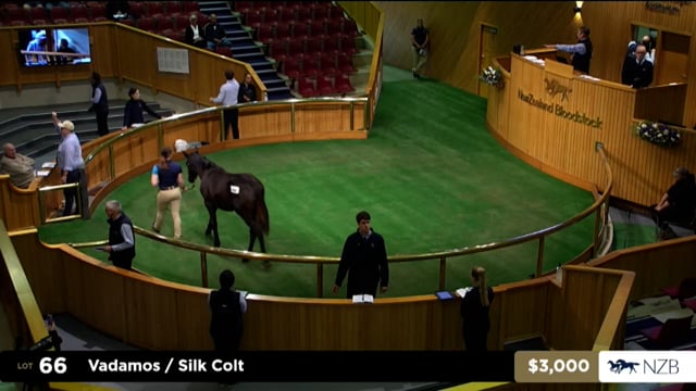 2025 National Weanling Sale - Lots 62 - 70