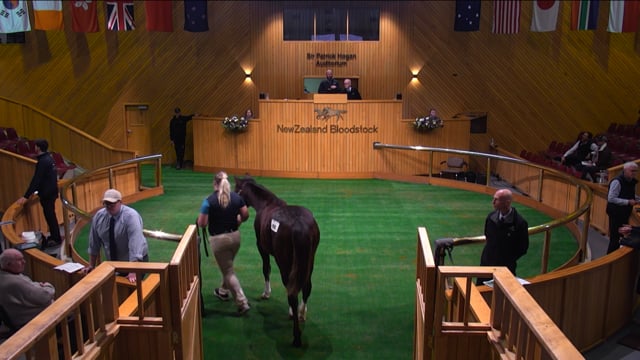 2025 National Weanling Sale - Lot 99, $120,000