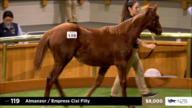 2025 National Weanling Sale - Lots 116 - 128