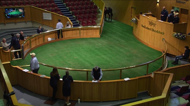 2025 National Weanling Sale - Lot 139, $130,000