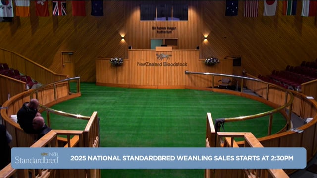 2025 National Standardbred Weanling Sale - Colour footage - Start of SB Sale