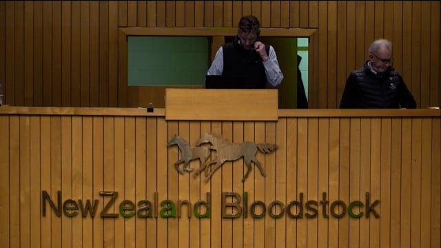 2025 National Standardbred Weanling Sale - Lots 1001 - 1008