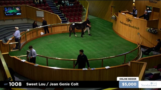 2025 National Standardbred Weanling Sale - Lots 1008 - 1016