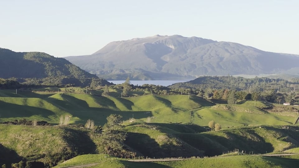Thumbnail image from the film Recloaking the Bay on Vimeo, highlighting Bay of Plenty farmers working to protect water quality, restore wetlands, and build climate-resilient farms.